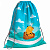Мешок для обуви Capybara Travel Erich Krause ЕК-60157